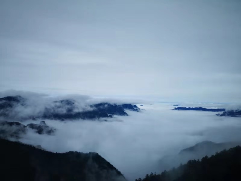 微信图片_201910281037234