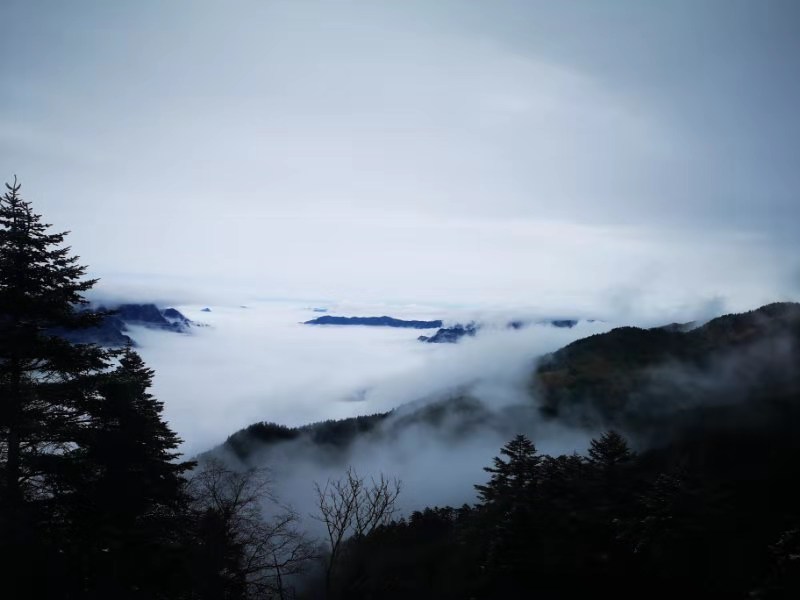 微信图片_201910281037235