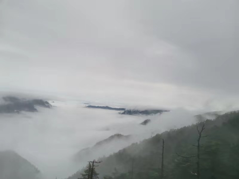 微信图片_201910281039121