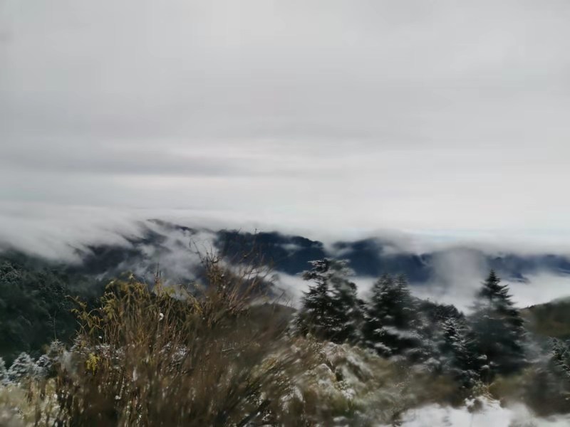 微信图片_201910281039122