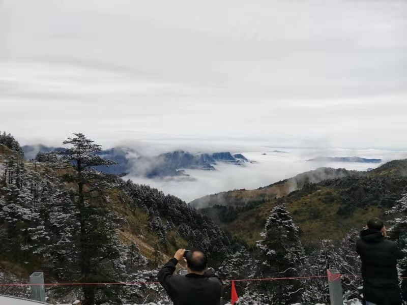 微信图片_201910281039123