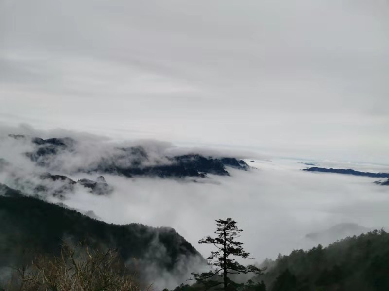 微信图片_201910281039124