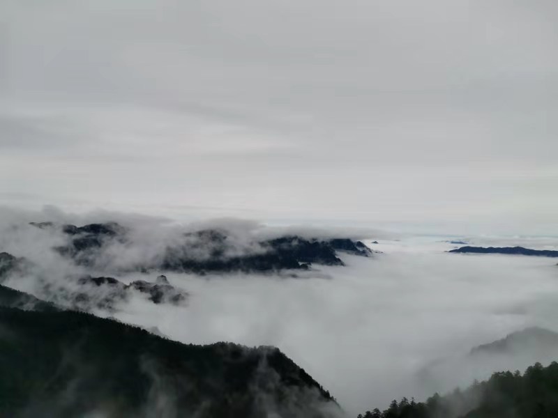 微信图片_201910281039125