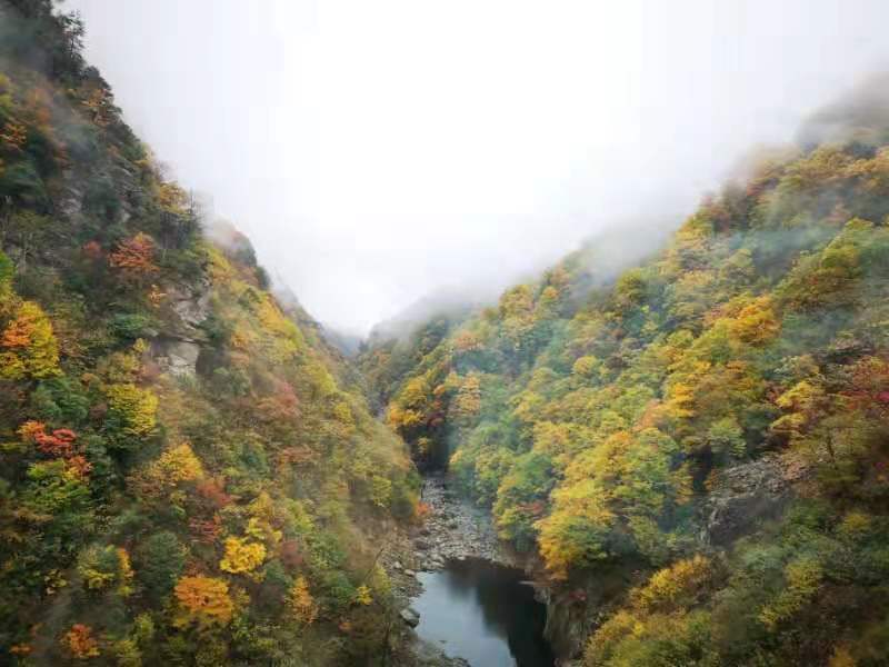 微信图片_201910281039126