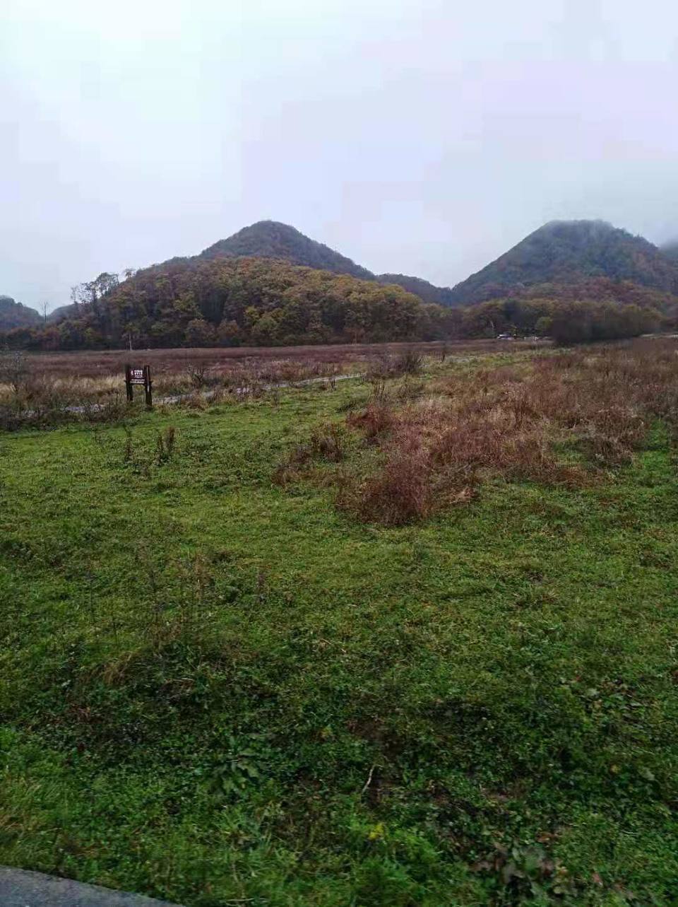 微信图片_201910281039127