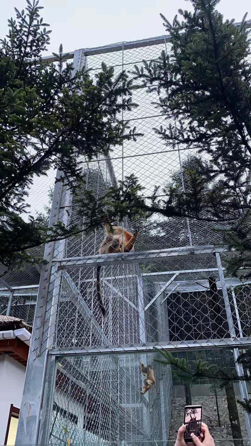 微信图片_201910281039128