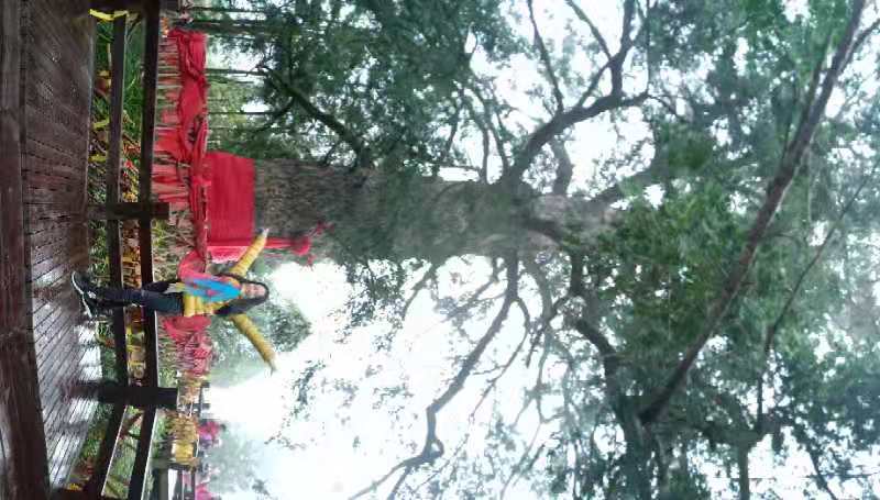 微信图片_201910281040213