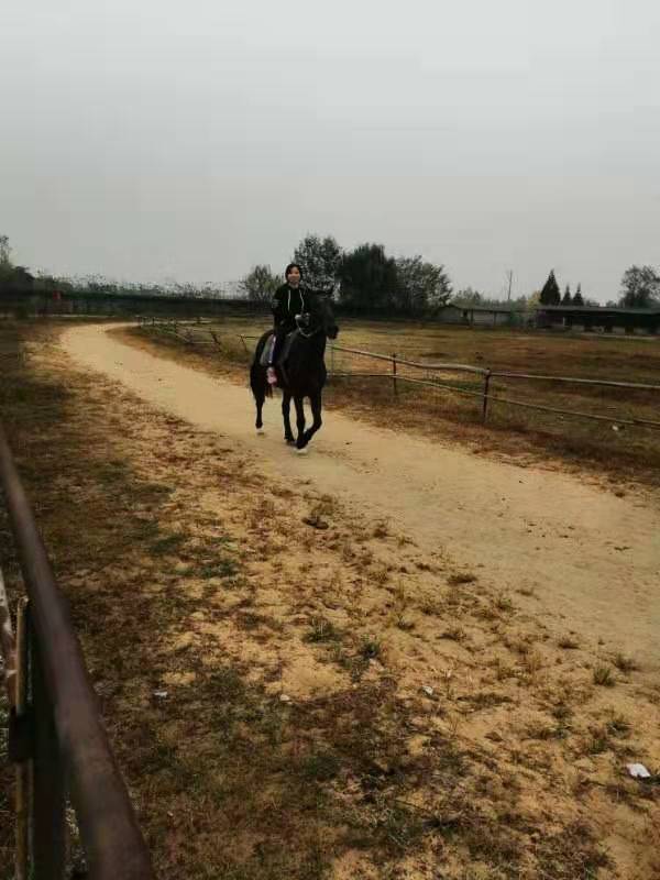 微信图片_20191028140936