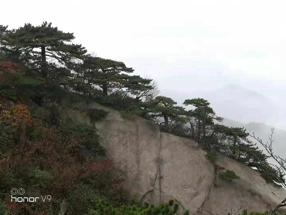 微信图片_201910281405424