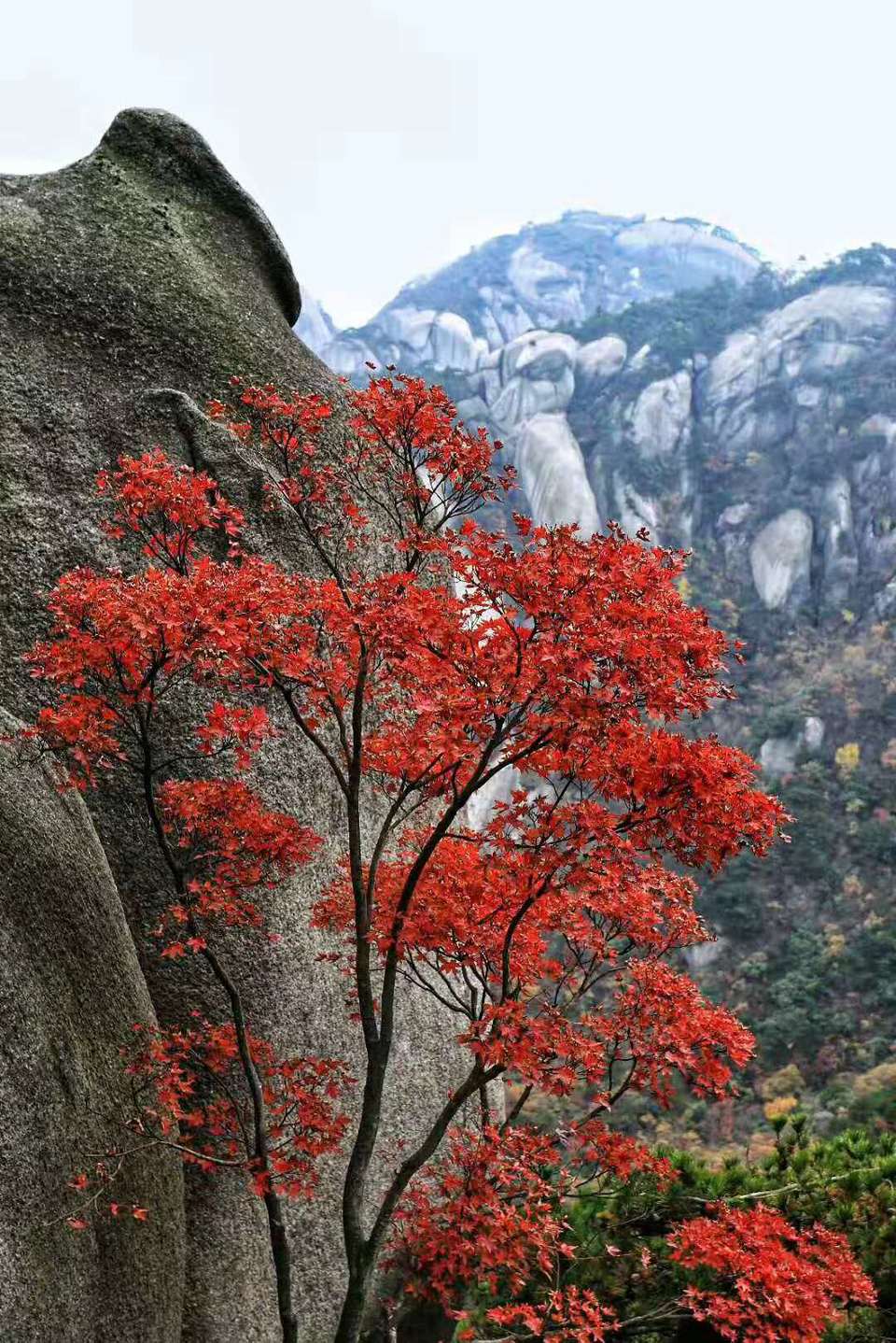 微信图片_201910281405427