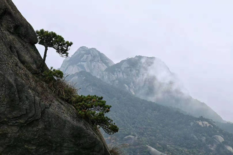 微信图片_201910281405428