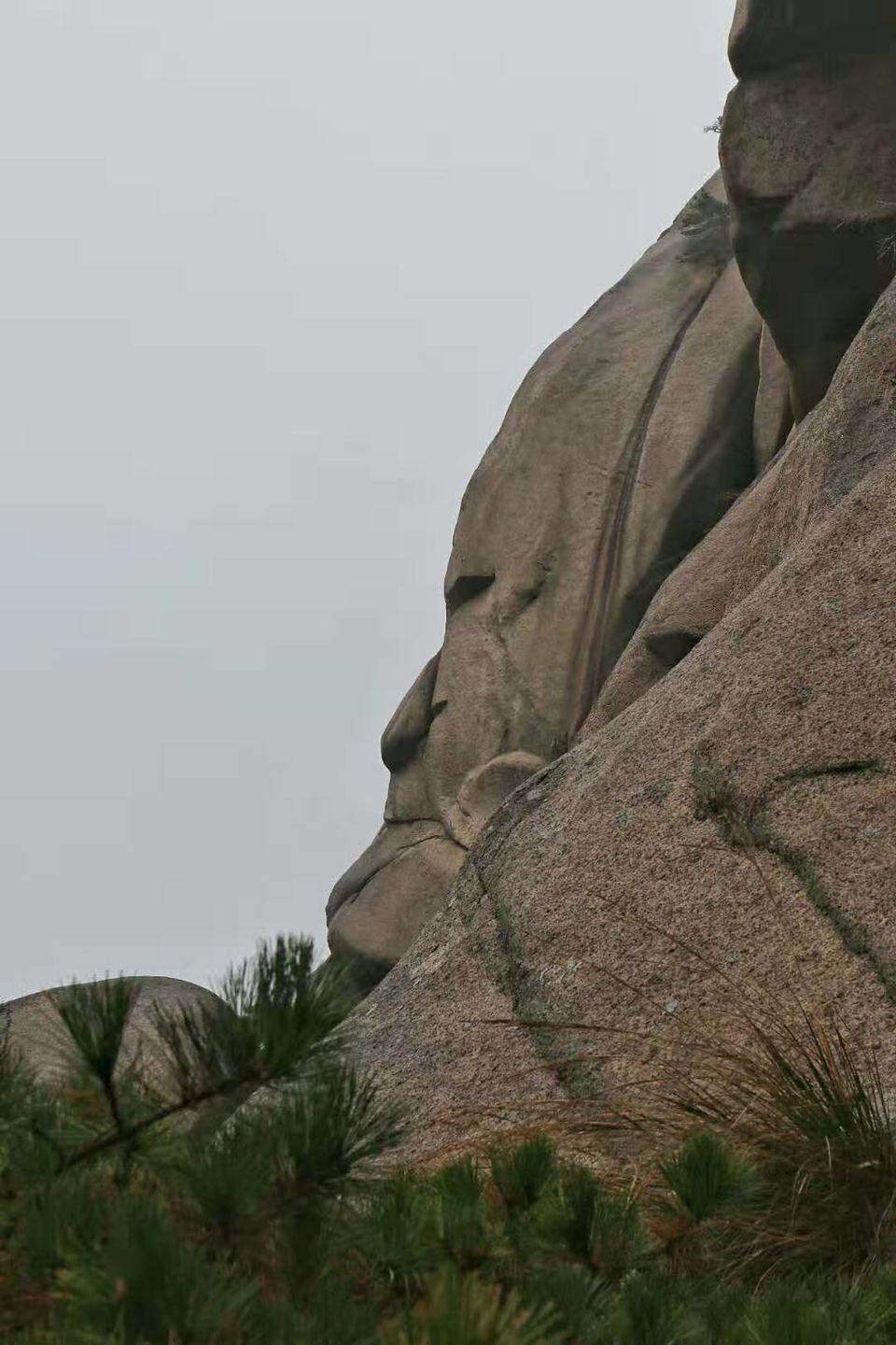 微信图片_201910281406452