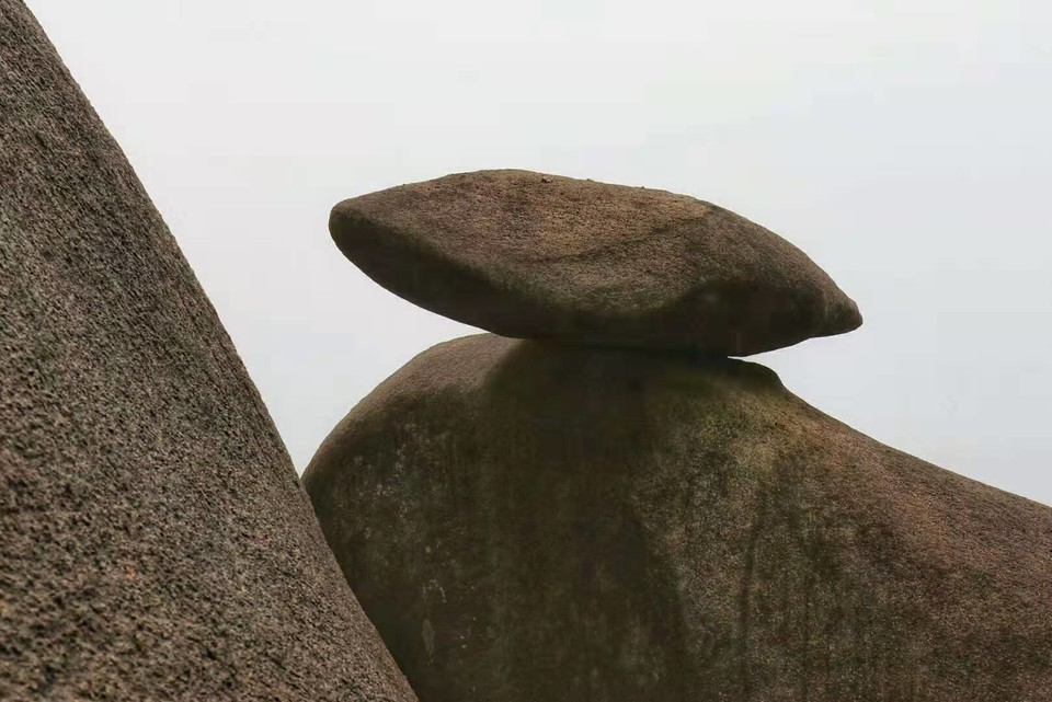 微信图片_201910281406453