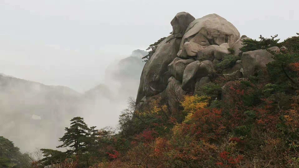 微信图片_201910281406454