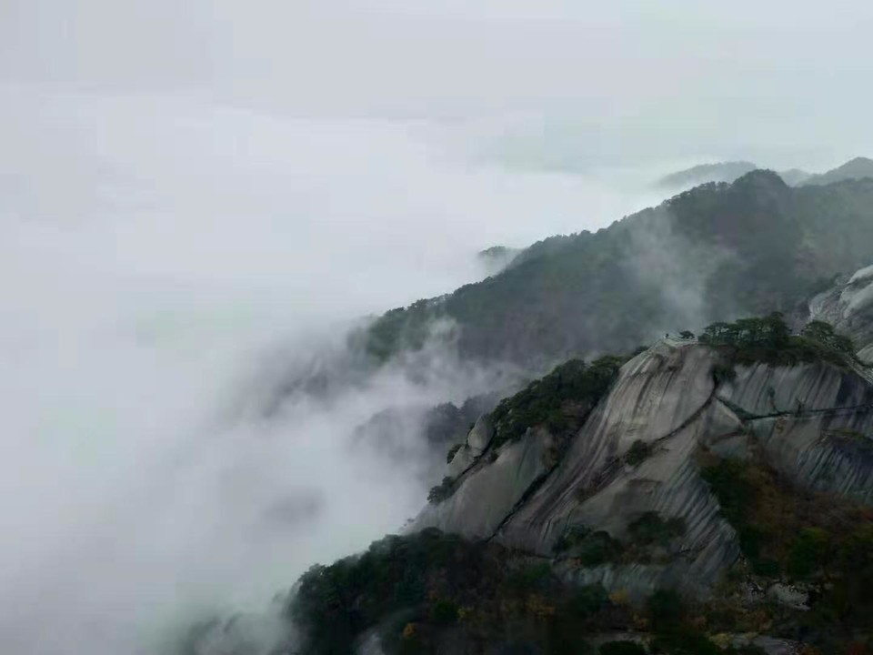 微信图片_201910281406458