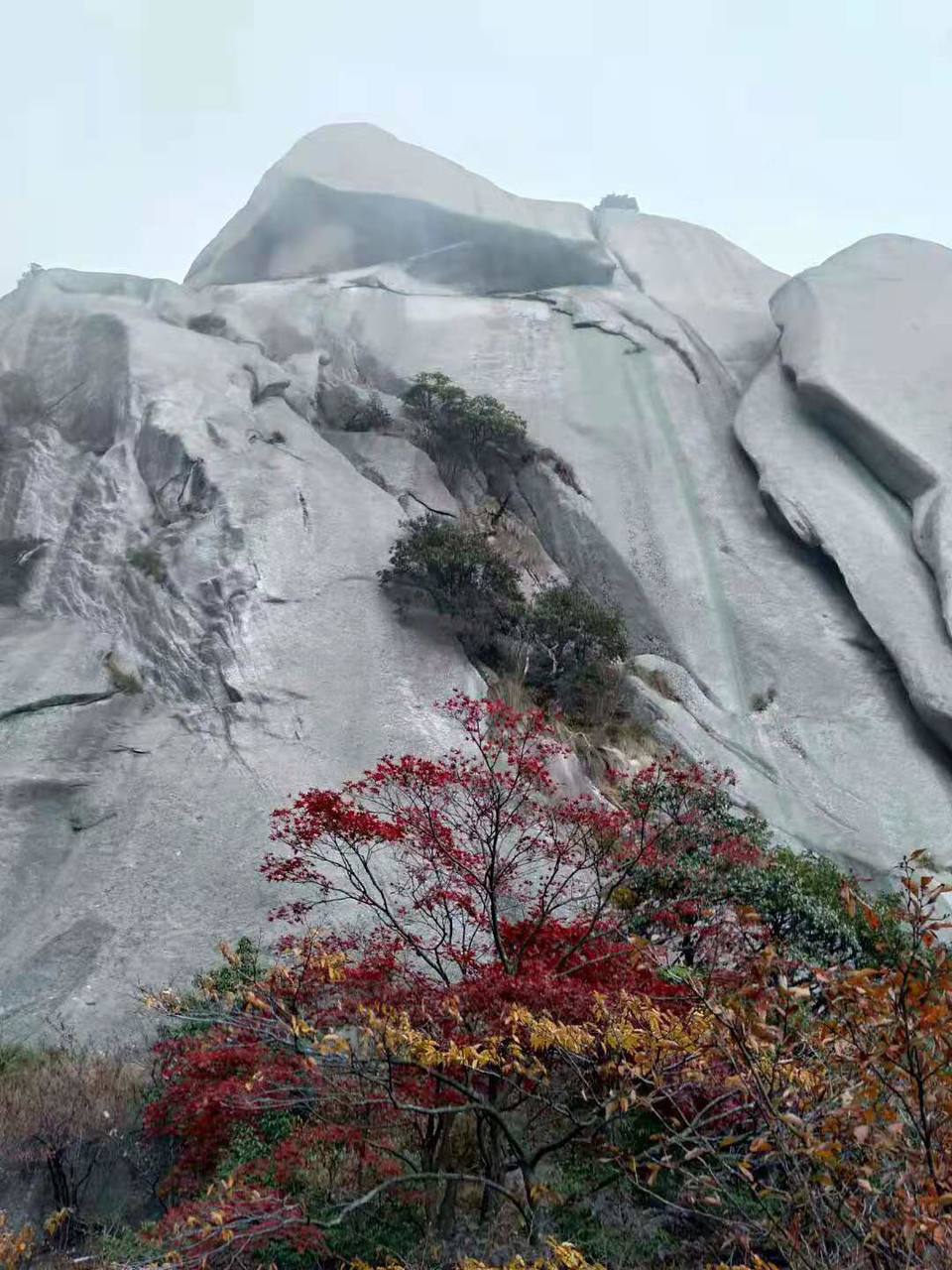 微信图片_201910281407422