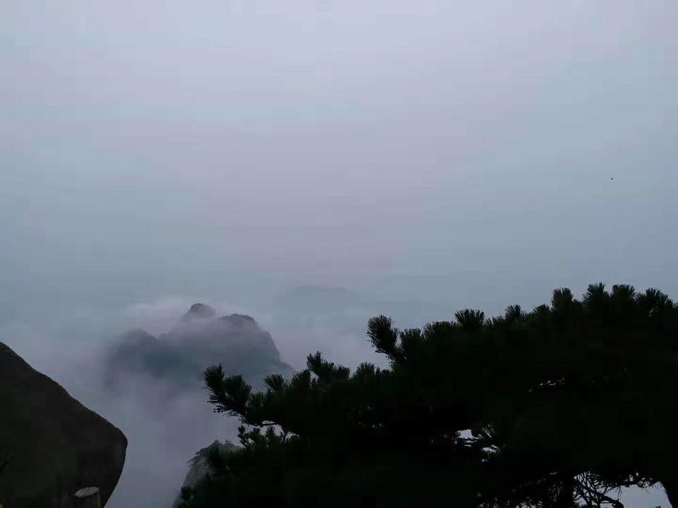 微信图片_201910281407426