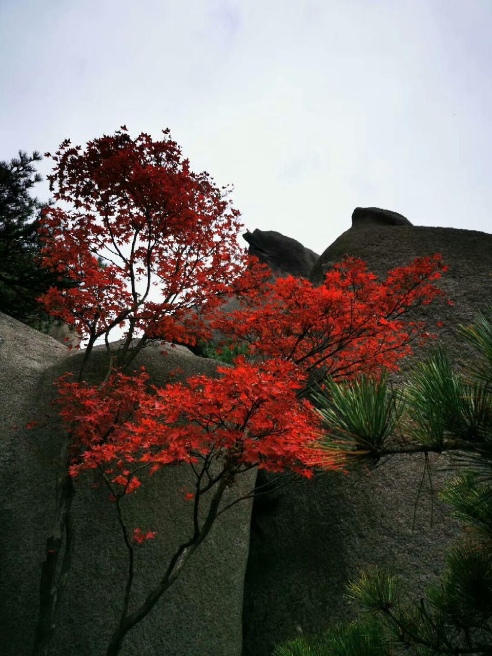 微信图片_201910281408371