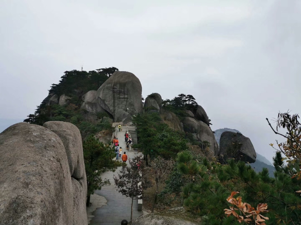 微信图片_201910281408372