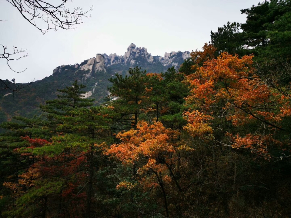 微信图片_201910281408373