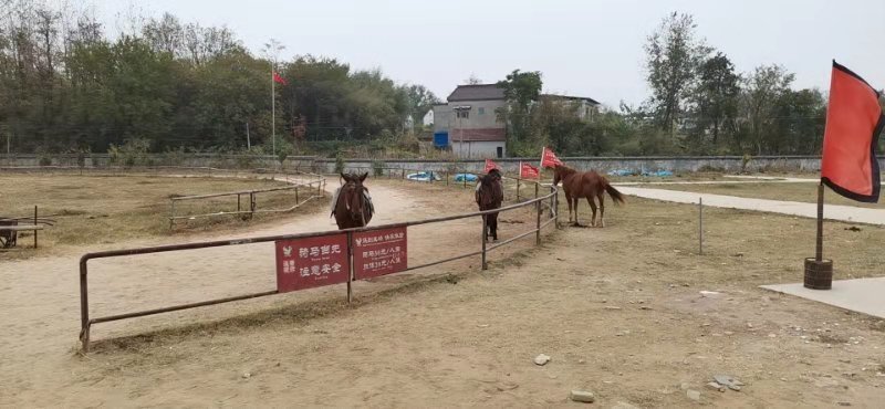 微信图片_201910281408375