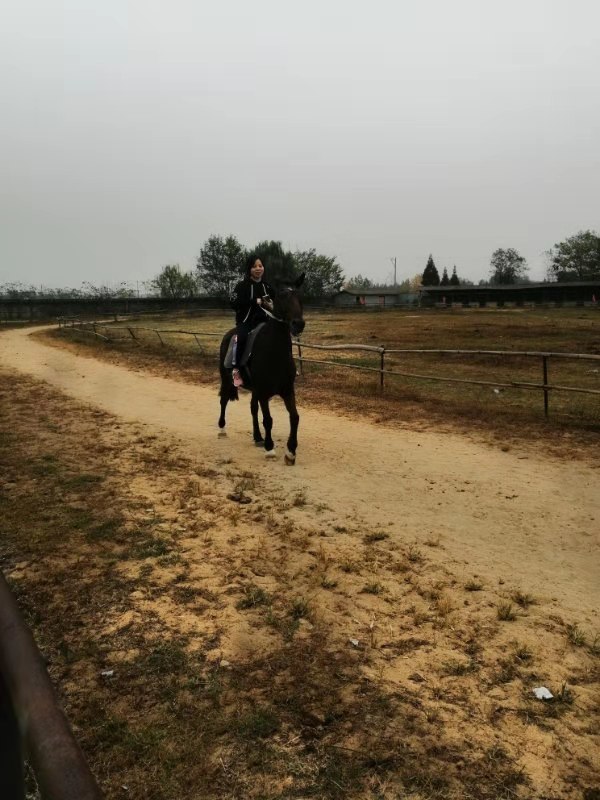 微信图片_201910281408377