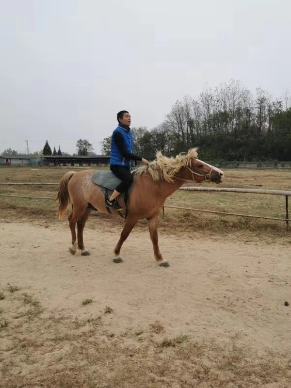 微信图片_201910281411432