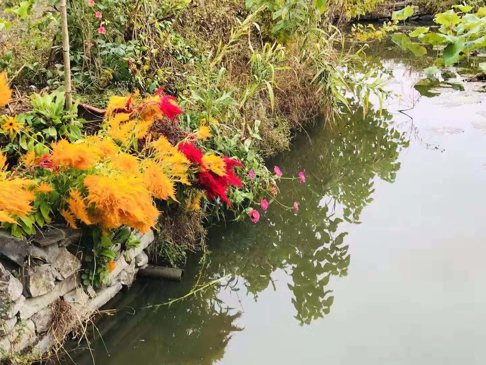 微信图片_20191118122328