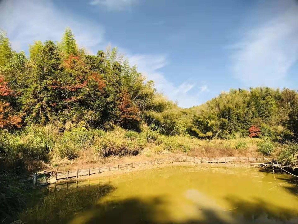 微信图片_20191118125130