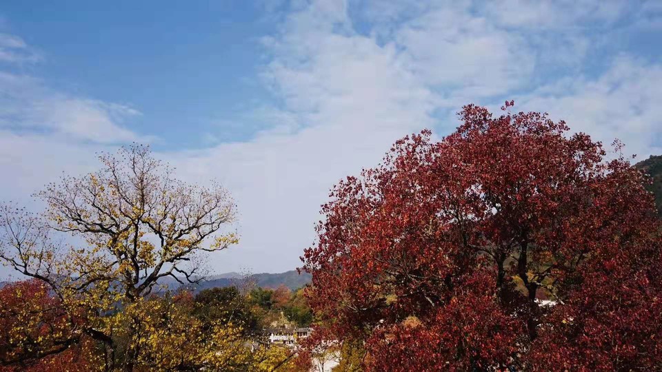 微信图片_20191118125342