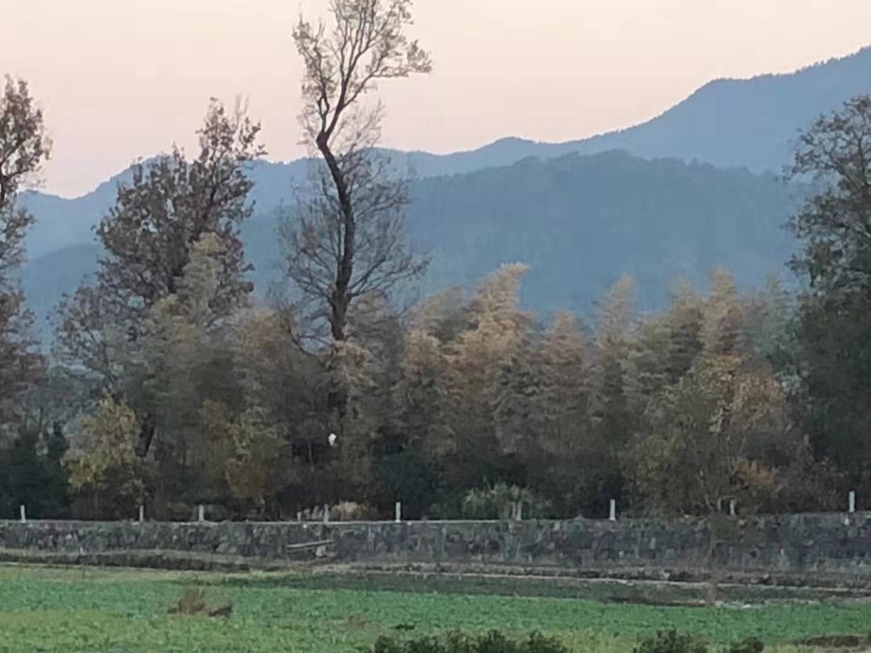 微信图片_20191118125425