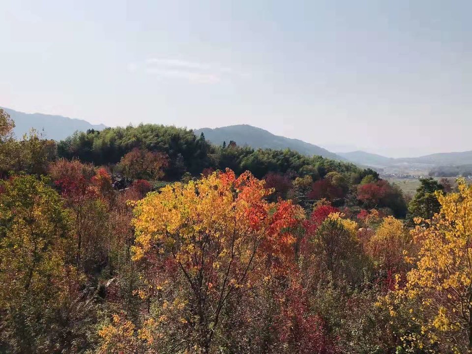 微信图片_20191118125856