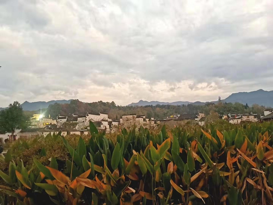 微信图片_20191118130121