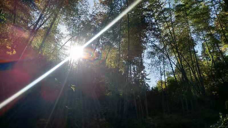 微信图片_20191118130319