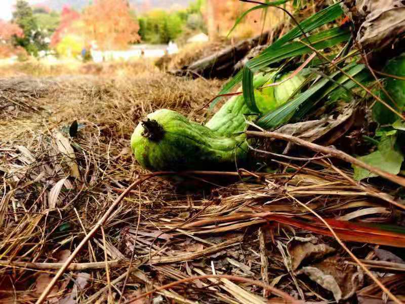 微信图片_20191118130727