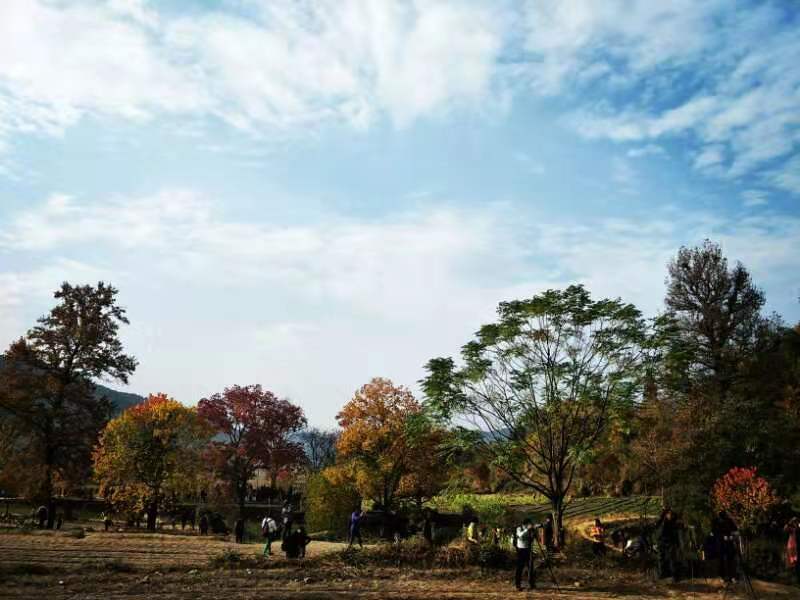 微信图片_20191118130757