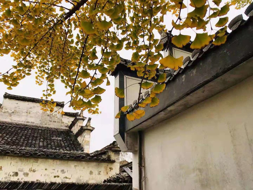 微信图片_201911181223281