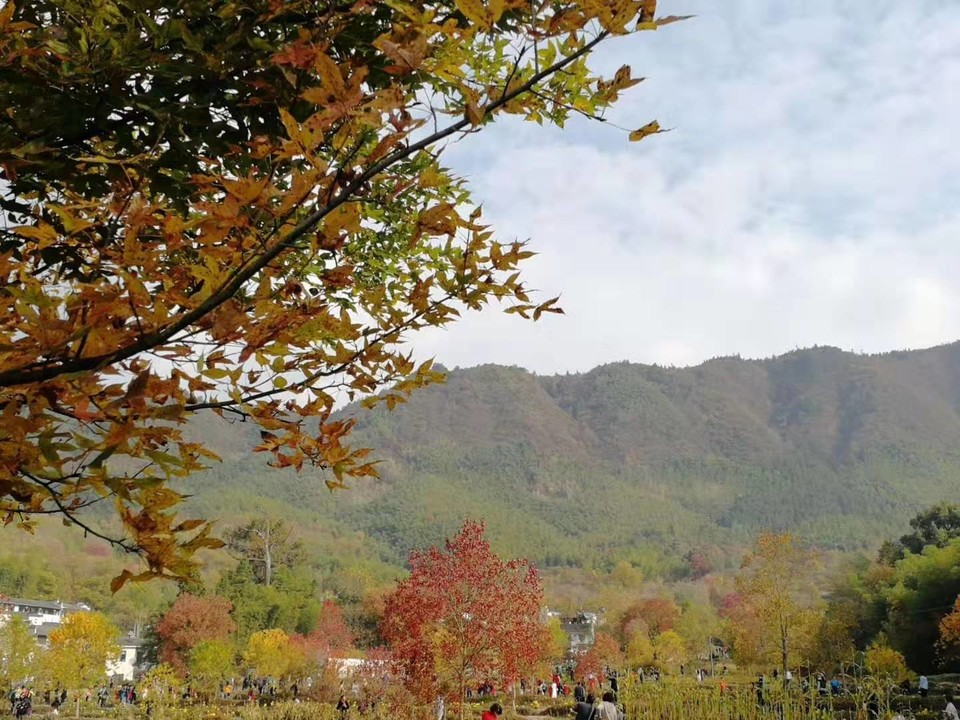 微信图片_201911181223284