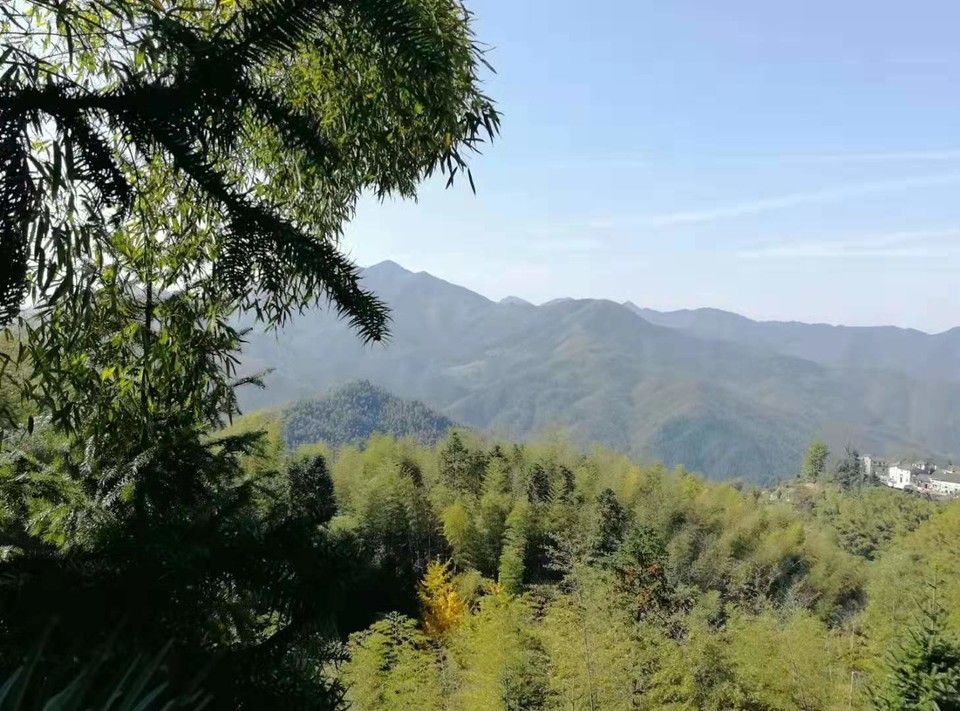 微信图片_201911181223285