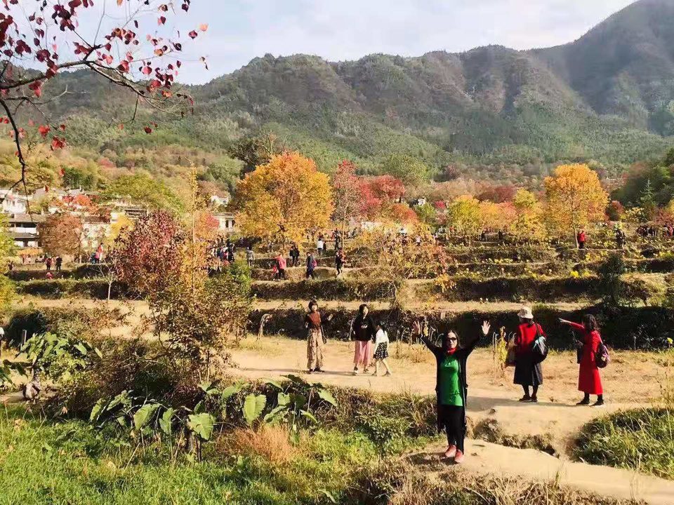 微信图片_201911181251301