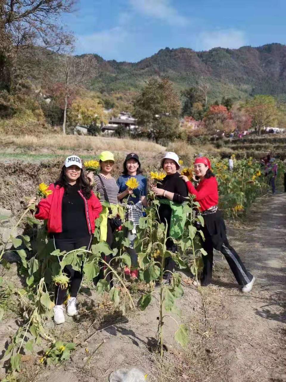 微信图片_201911181252115