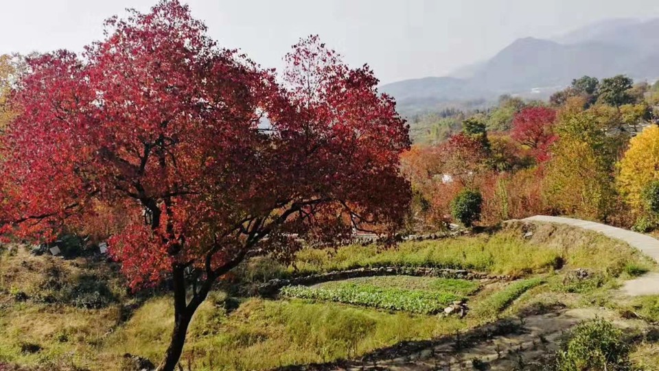 微信图片_201911181252507