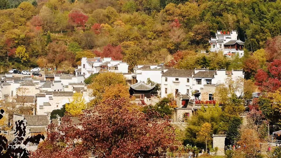 微信图片_201911181253421