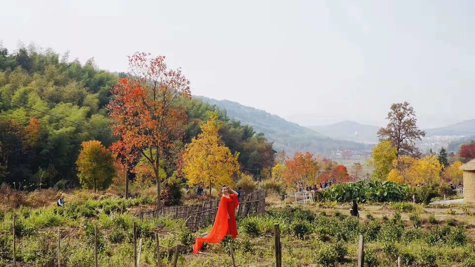 微信图片_201911181253424