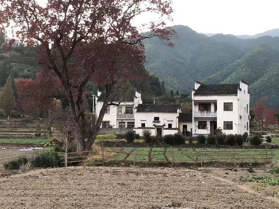 微信图片_201911181254251