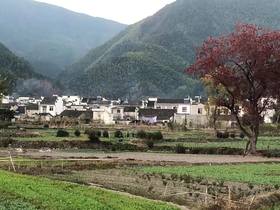 微信图片_201911181254252