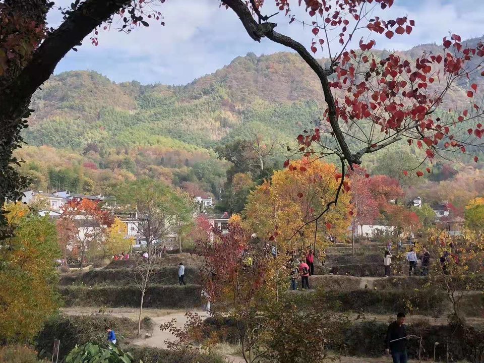 微信图片_201911181255152