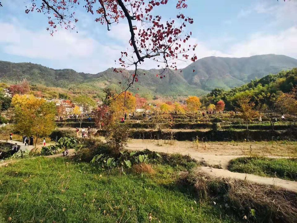 微信图片_201911181257131