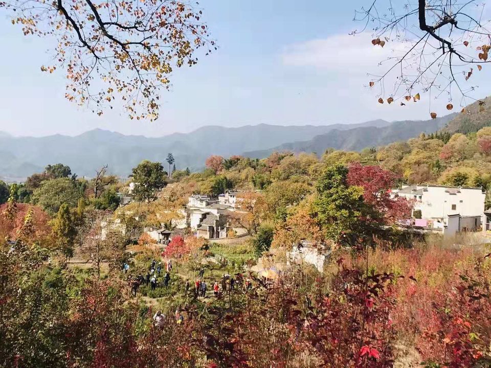 微信图片_201911181257135