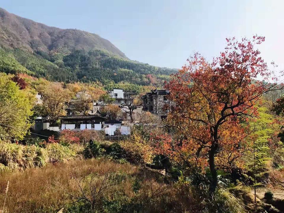 微信图片_201911181257136